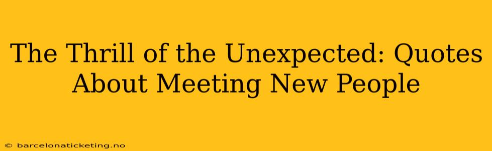 The Thrill of the Unexpected: Quotes About Meeting New People