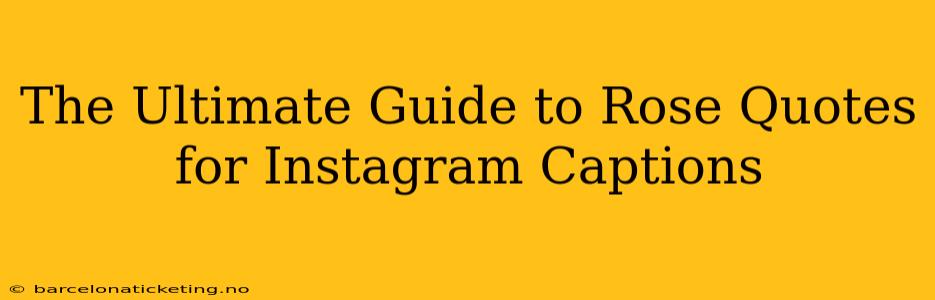 The Ultimate Guide to Rose Quotes for Instagram Captions