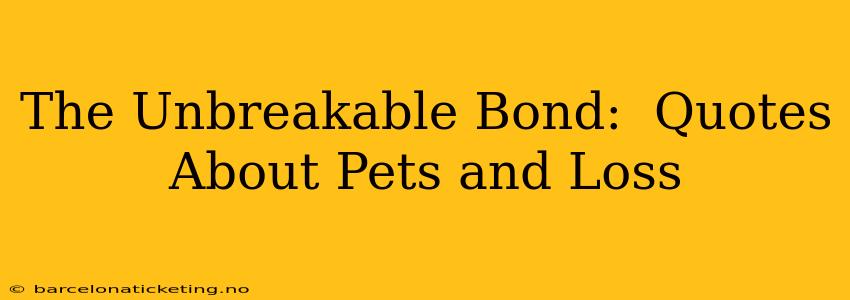 The Unbreakable Bond:  Quotes About Pets and Loss