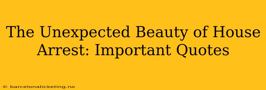 The Unexpected Beauty of House Arrest: Important Quotes