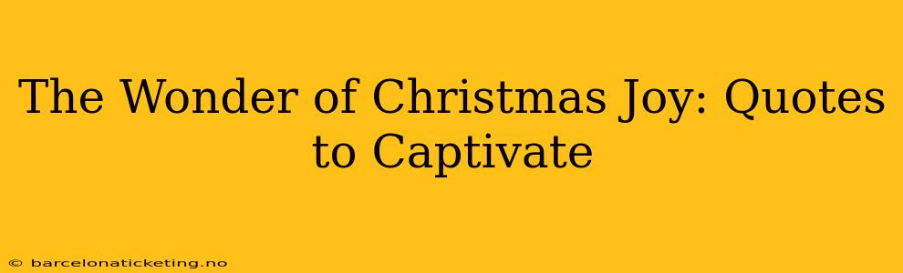 The Wonder of Christmas Joy: Quotes to Captivate