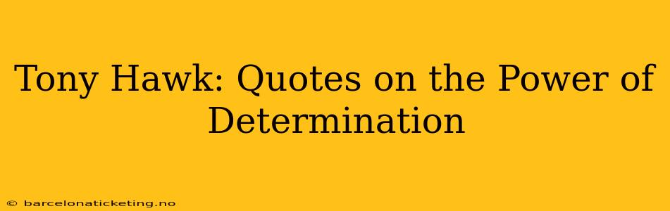 Tony Hawk: Quotes on the Power of Determination