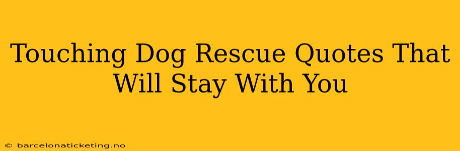 Touching Dog Rescue Quotes That Will Stay With You