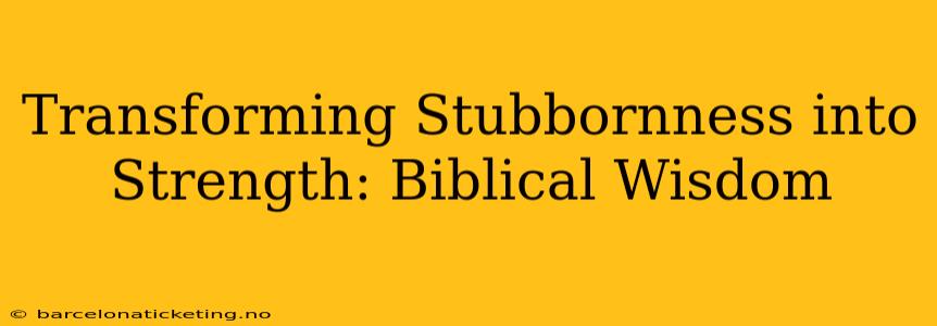 Transforming Stubbornness into Strength: Biblical Wisdom