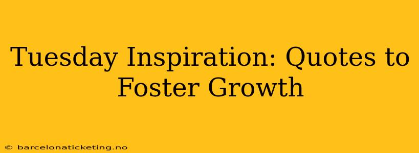Tuesday Inspiration: Quotes to Foster Growth