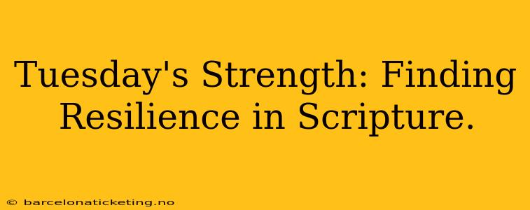 Tuesday's Strength: Finding Resilience in Scripture.