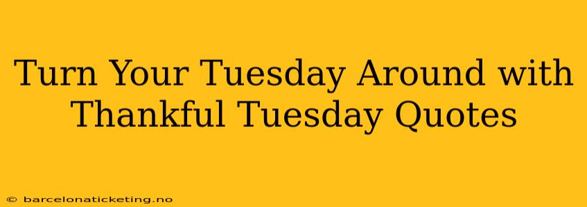 Turn Your Tuesday Around with Thankful Tuesday Quotes