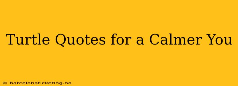 Turtle Quotes for a Calmer You