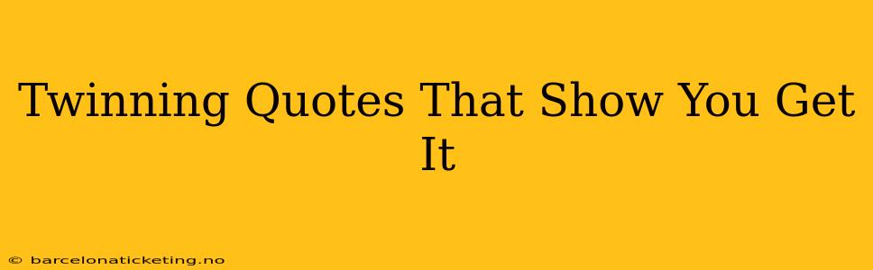 Twinning Quotes That Show You Get It