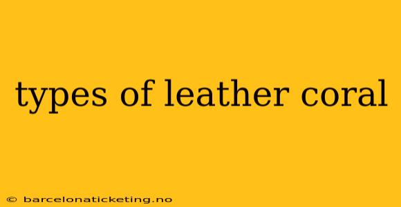 types of leather coral