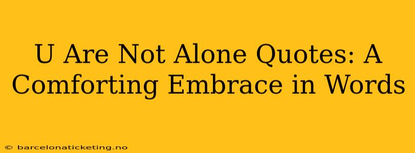 U Are Not Alone Quotes: A Comforting Embrace in Words