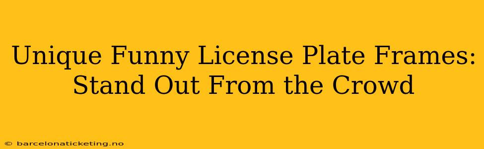 Unique Funny License Plate Frames: Stand Out From the Crowd