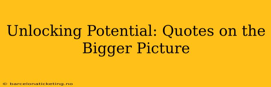 Unlocking Potential: Quotes on the Bigger Picture