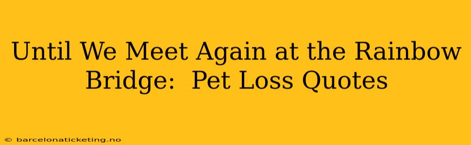 Until We Meet Again at the Rainbow Bridge:  Pet Loss Quotes