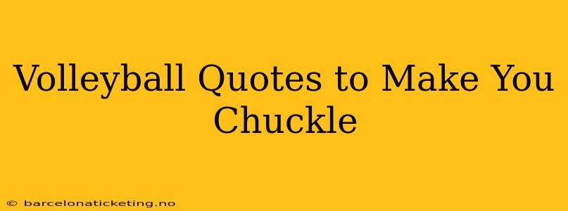 Volleyball Quotes to Make You Chuckle