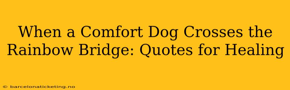 When a Comfort Dog Crosses the Rainbow Bridge: Quotes for Healing