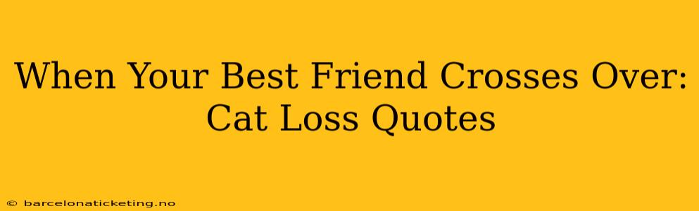 When Your Best Friend Crosses Over: Cat Loss Quotes