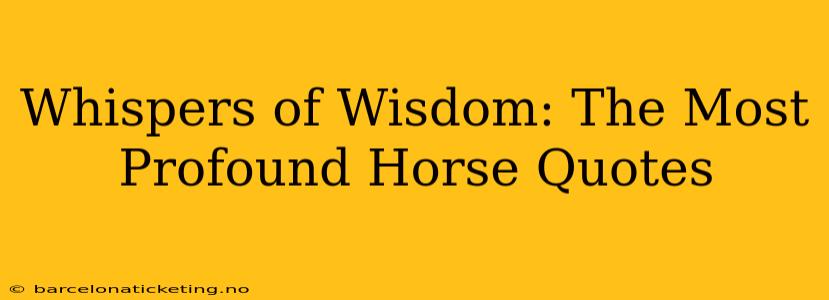 Whispers of Wisdom: The Most Profound Horse Quotes