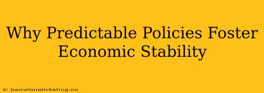 Why Predictable Policies Foster Economic Stability