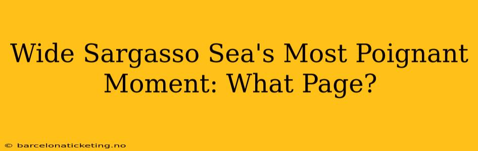 Wide Sargasso Sea's Most Poignant Moment: What Page?