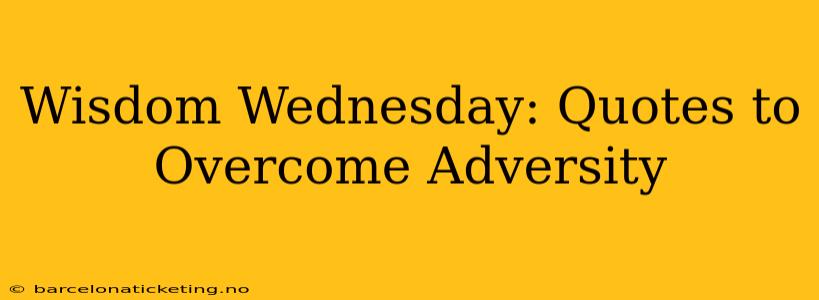Wisdom Wednesday: Quotes to Overcome Adversity
