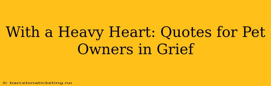 With a Heavy Heart: Quotes for Pet Owners in Grief