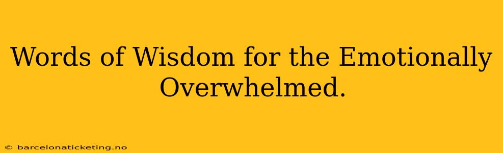 Words of Wisdom for the Emotionally Overwhelmed.