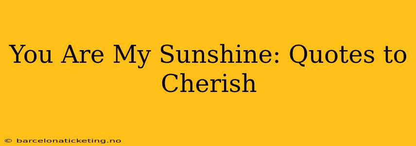 You Are My Sunshine: Quotes to Cherish