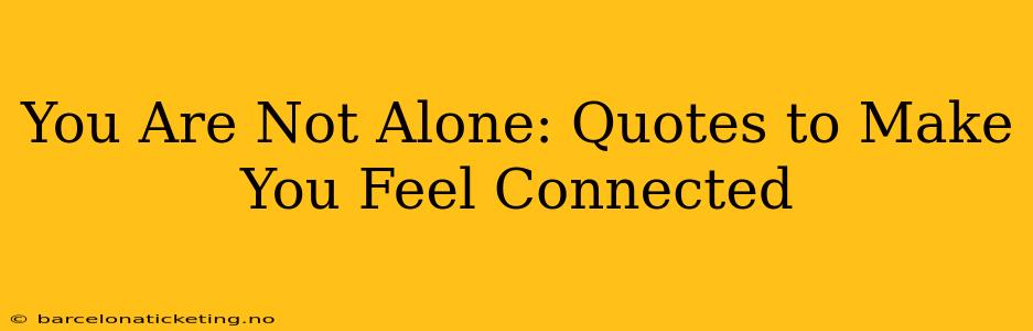 You Are Not Alone: Quotes to Make You Feel Connected